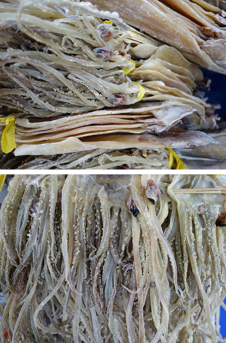 칼슘명가 이미지