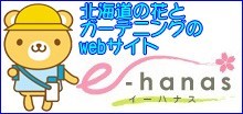 쵸우 이미지