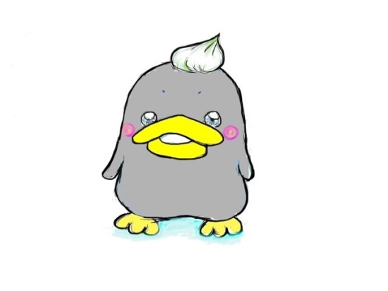 씨데코 이미지