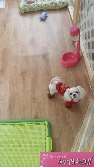 부흥미용실 이미지