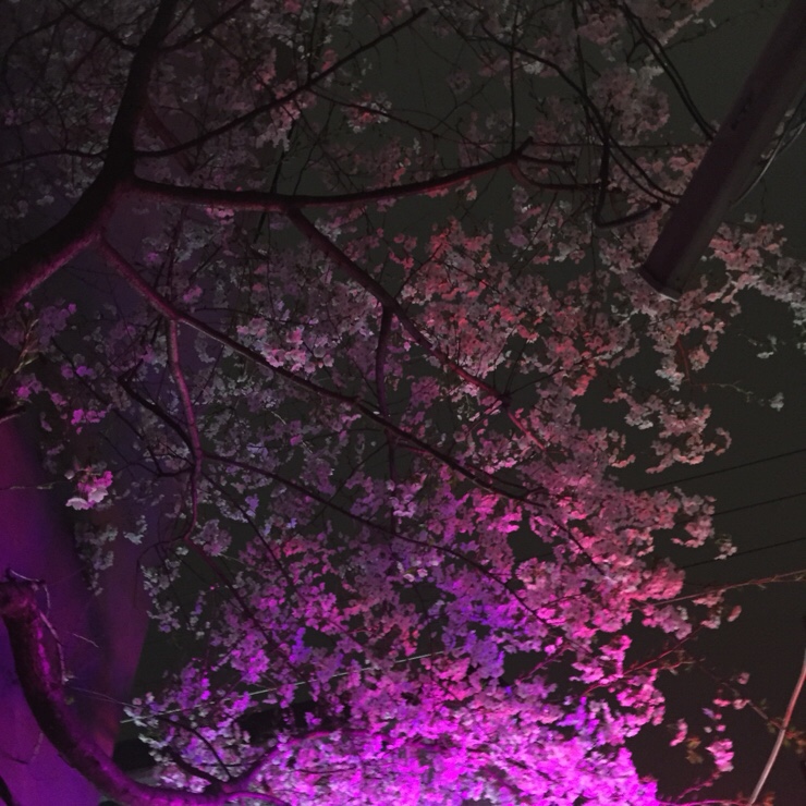 카키(Khaki) 이미지