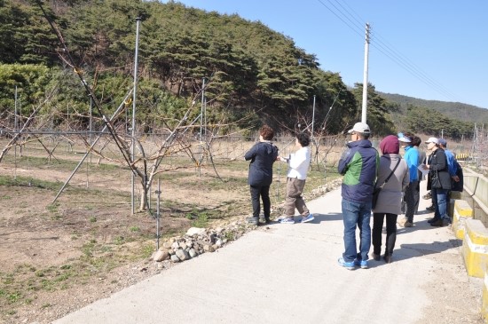 명품농원 이미지