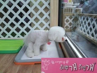 부흥미용실 이미지