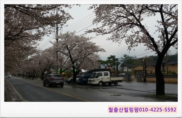 월출산힐링팜 이미지