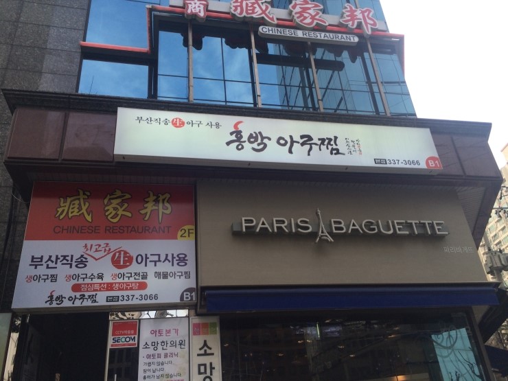 홍박 이미지