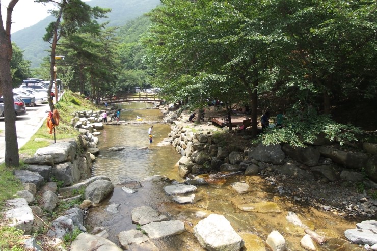 오도산자연휴양림 이미지
