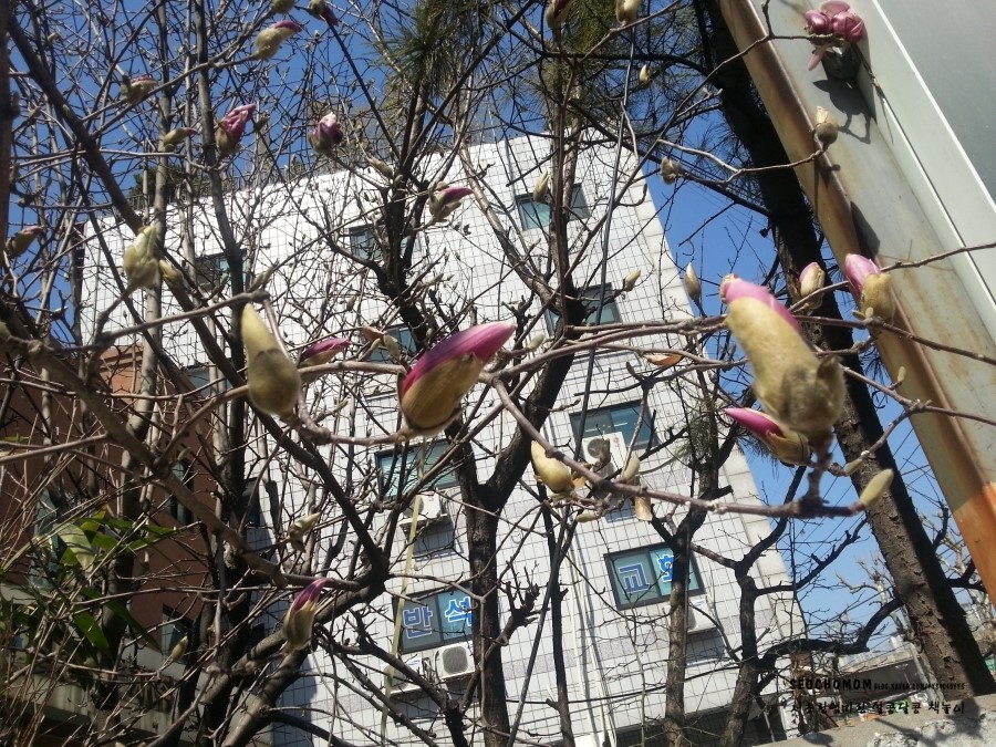 (주)아다미 이미지