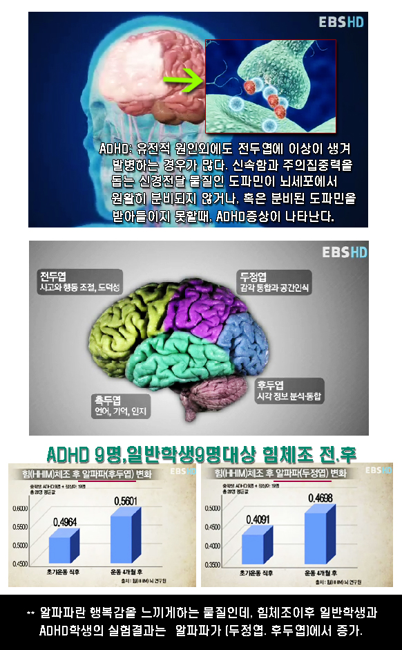 탑홀스 이미지