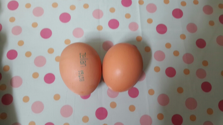 오경(젤란) 이미지