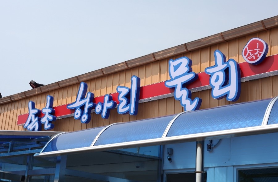 속초항아리물회 이미지