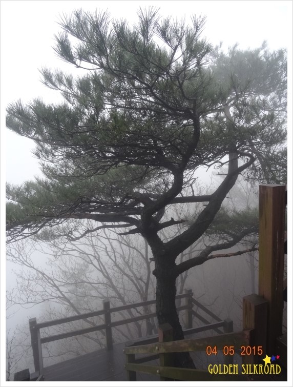 조각공원내매점 이미지