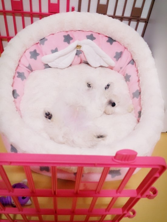 마루의꿈 이미지