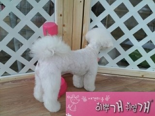 부흥미용실 이미지
