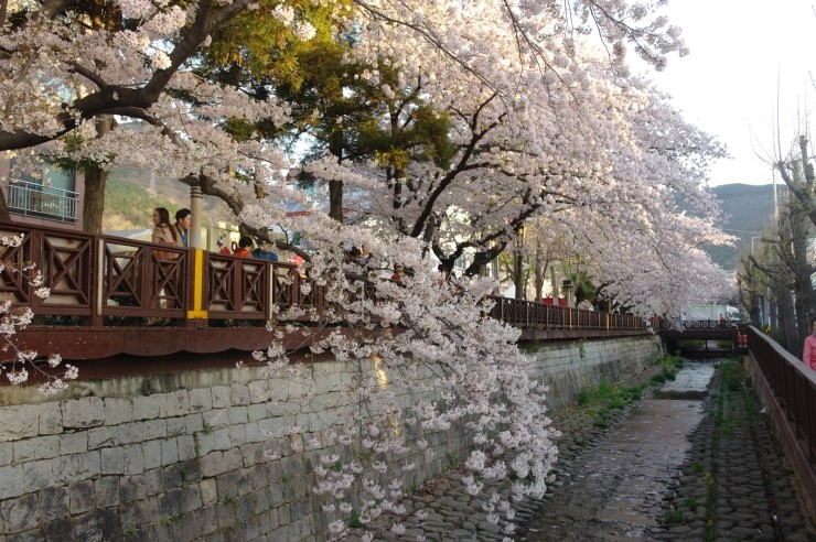 삼오모텔 이미지