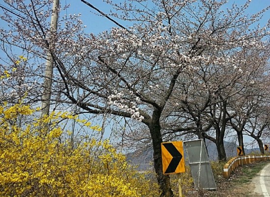 사단법인 제천문화예술위원회 이미지
