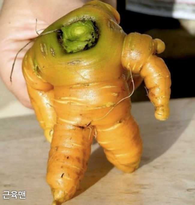 신기야채 이미지