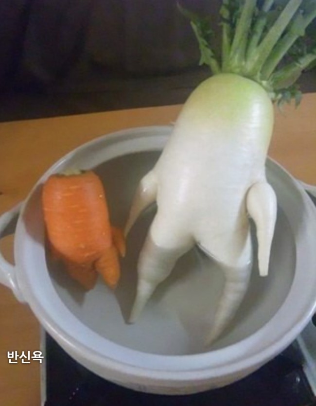 신기야채 이미지