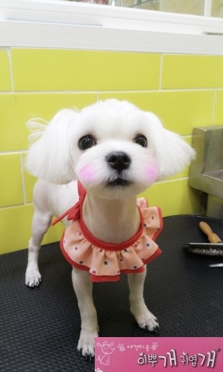 부흥미용실 이미지