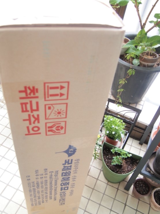 능동종묘사 이미지