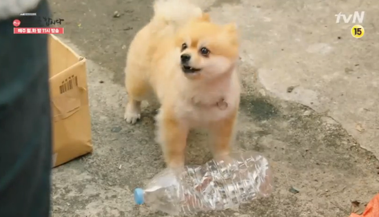 해피 이미지