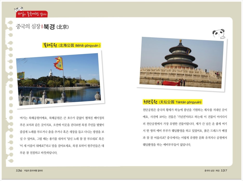 디자인심즈 이미지