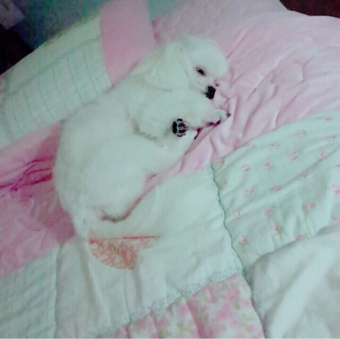 델리브로우 이미지