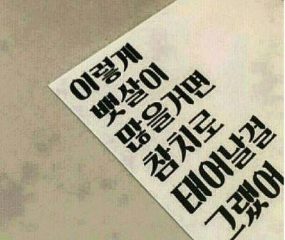 참치만세 이미지