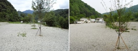청평캠핑장 이미지