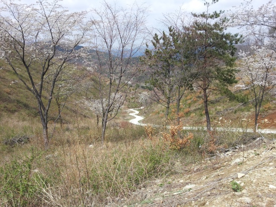 장산주유소 이미지