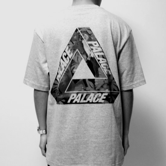Gray palace 이미지