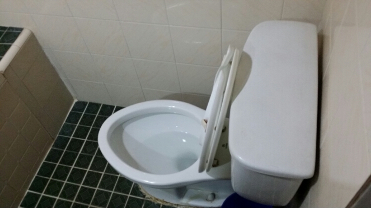 국빈장 이미지