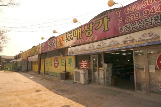 헤이쥬플라워 이미지