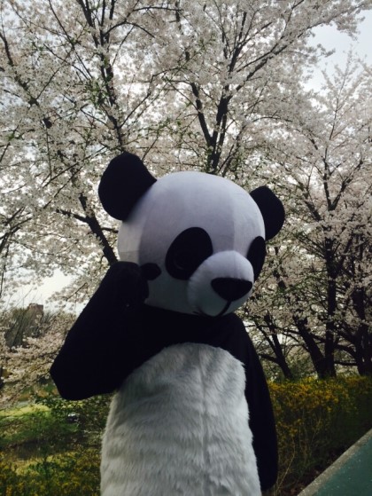락셰프 이미지