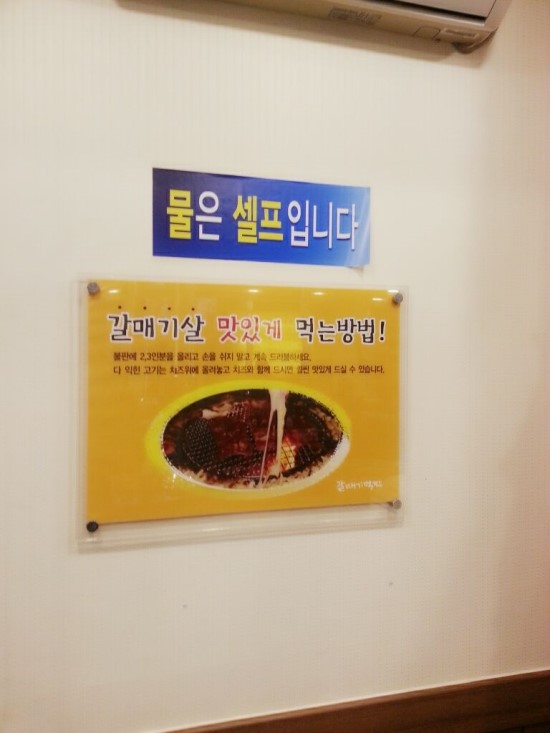갈매기먹짱 이미지