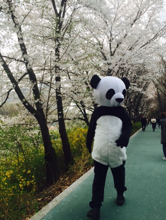락셰프 이미지