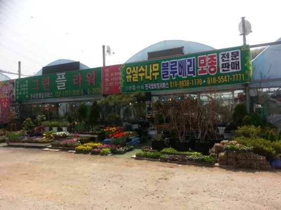경기그린플라워 이미지