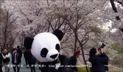 락셰프 이미지