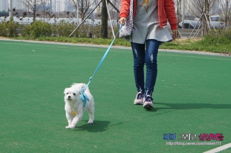 빵삼이 이미지
