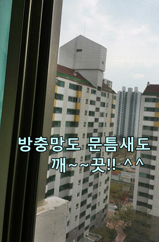 새망인테리어 이미지