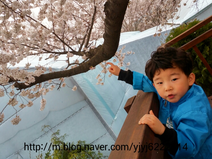 녹지관리사업소 이미지