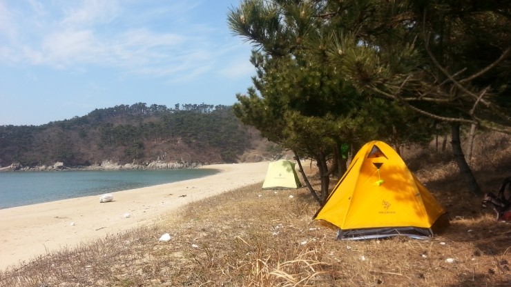 윈드원 이미지