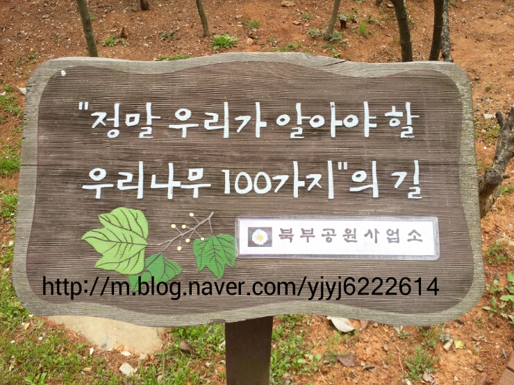 녹지관리사업소 이미지