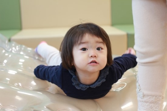 예블리 이미지