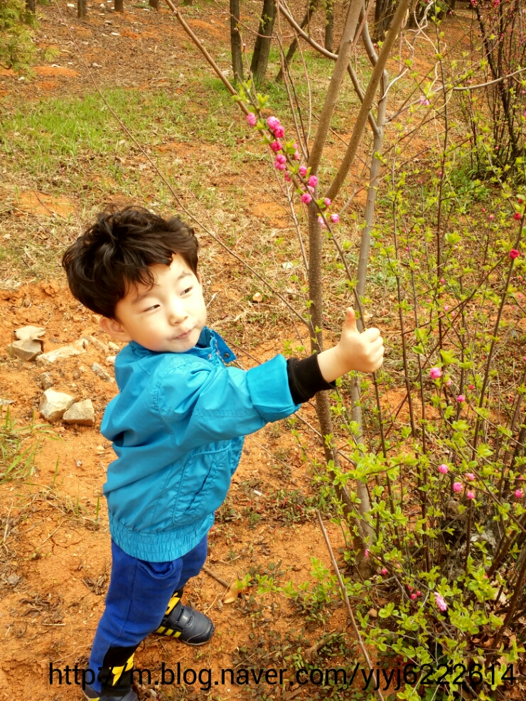 녹지관리사업소 이미지