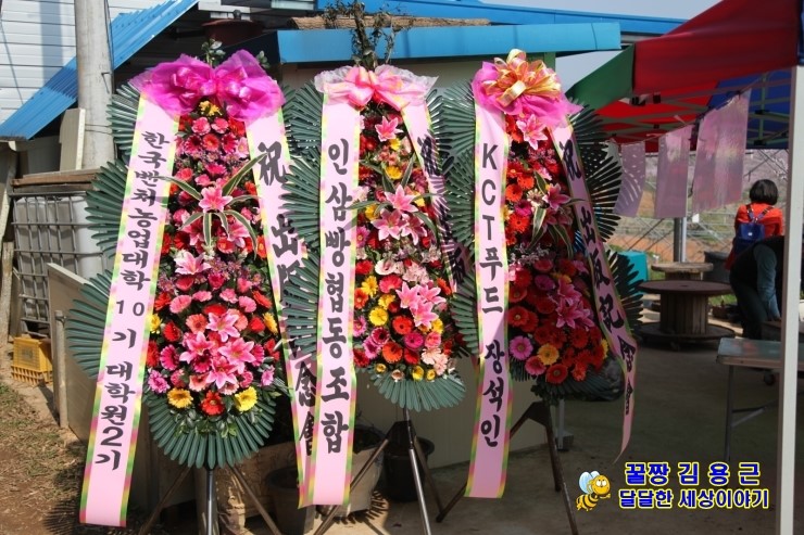 금산인삼빵협동조합 이미지