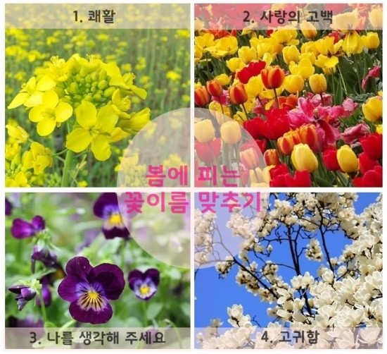 봄텔레콤 이미지