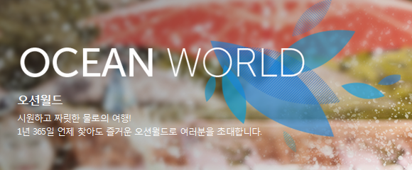 비발디스케치북 이미지