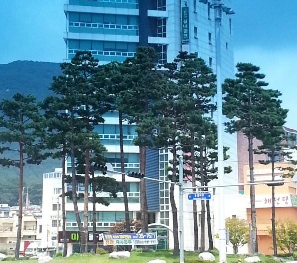 개인화물1950 이미지