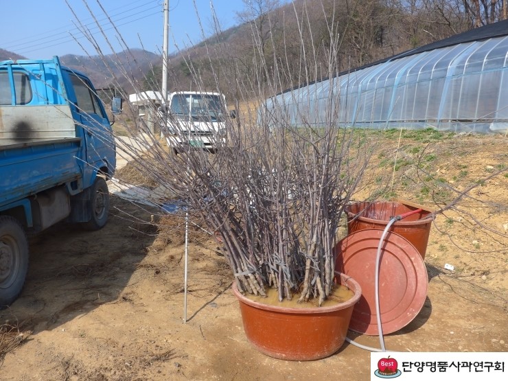 품앗이농원 이미지