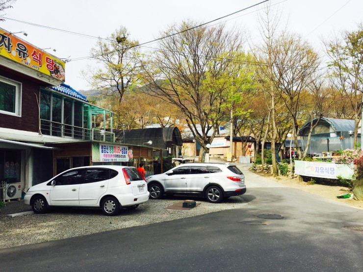 신자유식당 이미지